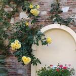 Parco dei Santi Cosma e Damiano