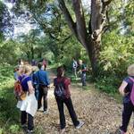 Parco Migliarino, San Rossore, Massaciuccoli Pisa