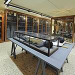 Scuola medica e Musei di Anatomia Umana e Patologica