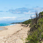 Parco naturale costiero di Rimigliano