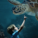 Acquario comunale Diacinto Cestoni Livorno