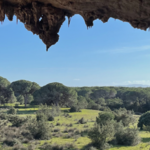 Parco Regionale della Maremma Parco Regionale della Maremma