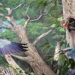 Museo di Storia Naturale del Mediterraneo Museo di Storia Naturale del Mediterraneo