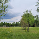 Parco della Liberazione e della Pace Parco della Liberazione e della Pace