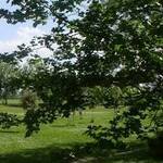 Parco delle Cascine di Tavola