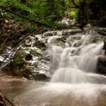 Parco Forestale di Poggio Neri