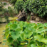 Giardino dei Semplici