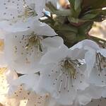 Azienda Agricola Luca Zaupa 