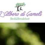L’Albero di Gameli