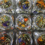 Ronzii e Piccole Erbe