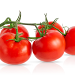 Azienda Agricola Bio Pasquini e Ridulfo